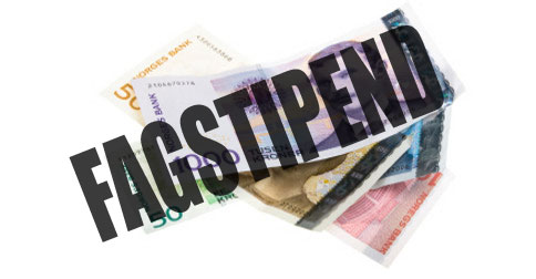 Bilde av penger - Fagstipend