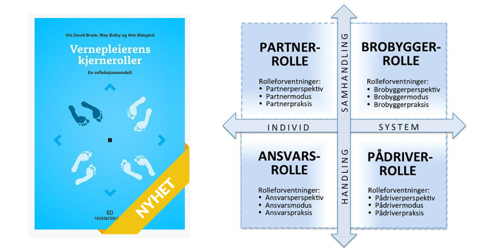 Vernepleierens kjerneroller