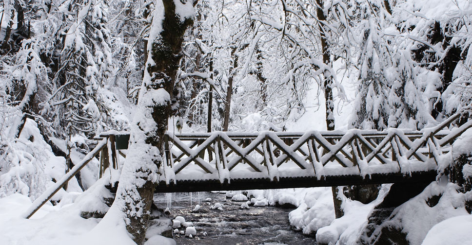 Bro i vintersnøen